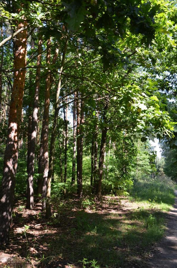 Agroturystyka Czekaj Przy Suntago Lublinow Exterior photo